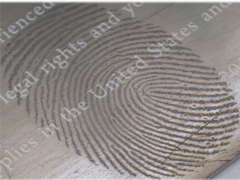 سیستم فلز سازی خلاء بالا، واحد پوشش تبخیر حرارتی برای تصویربرداری اثر انگشت